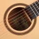 Tayste TS20D-41 Akustik Gitar 5