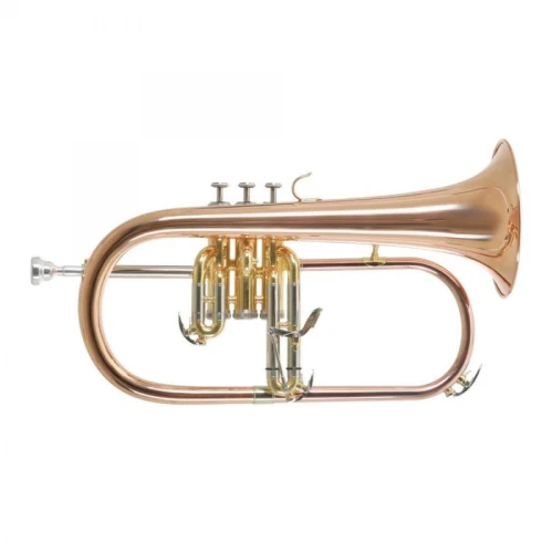 Roy Benson FH-302G Flugelhorn 2