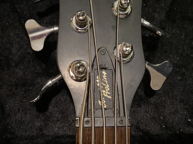 Corvette proline 5 3