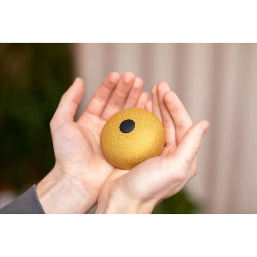 Meinl Sonic Energy PSTD3GOM Pocket Steel A-major 3'' Tongue Drum (Gold) 6