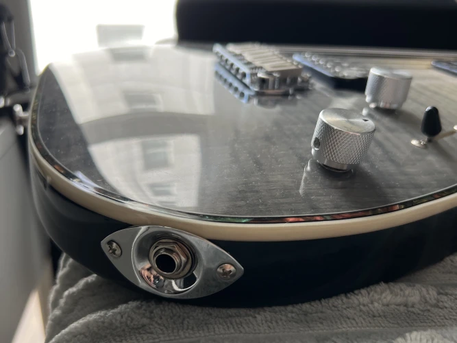 Eart EYP-ELITE Elektro Gitar 10