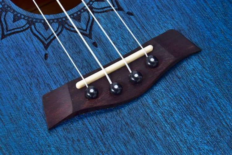 Kaysen U1-24BL Concert Ukulele 3