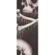 PLANETWAVES 25LAL01 GİTAR ASKISI, 2.5 ALCHEMY LTH-BLKBLOOD SKULL 4