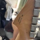 FENDER JAZZMASTER 5