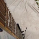 ibanez s470 dxqm 2006 9