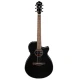 IBANEZ AEG50-BK Elektro Akustik Gitar 1