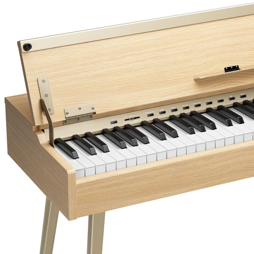 Donner DHP-300 Pro Dijital Piyano (Beige) 2