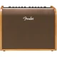 Fender Acoustic 100 UK Akustik Gitar Amfisi 1