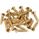Fender Pickguard/Control Plate Mounting Screws 24 Gold Gitar Yedek Parça 1