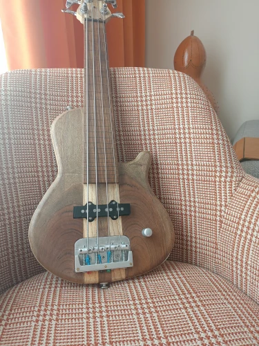 travel bass 1