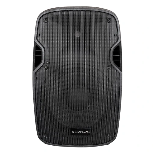 Kozmos KPA-2912PSSV / 12-İnç 2 Yol Pasif Hoparlör 1