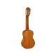 Ortega RGLE18FMH Guitarlele (Natural) 2