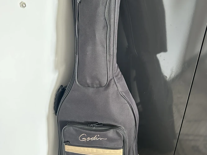 Godin ACS SA 4
