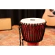 Meinl PADJ1-L-F Travel Series 12" Djembe (Pharaohs) 8