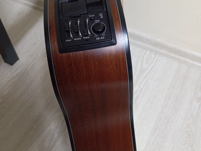 Takamine Gd 10ce NS 8