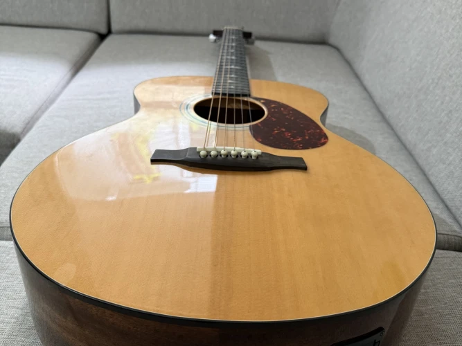 PRS SE TONARE TX20E 2