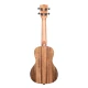 Kala KA-PWC Pacific Walnut Concert Ukulele 2