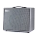 Blackstar Silverline Special  50-Watt 1x12" Combo Amfi (Silver) 2