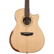 Washburn Comfort G25SCE Elektro Akustik Gitar 1
