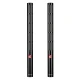 sE Electronics sE6160 Supercardioid Shotgun Condenser Mikrofon (Çift) 1