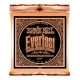 Ernie Ball P02548 Everlast Akustik Gitar Teli (Light) 1