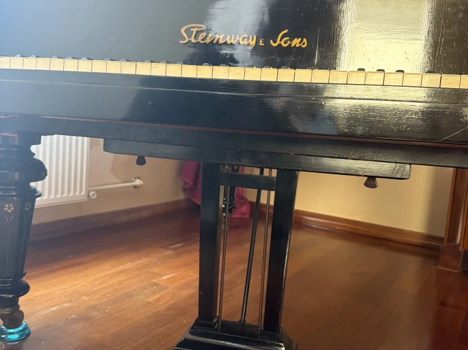 Steinway Kuyruklu Piano 10