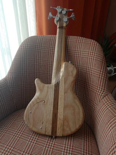 travel bass 5
