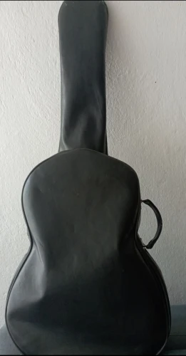 Akustik Gitar 80 li yıllardan 8