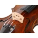 Stentor 1880/A The Arcadia El Yapımı Keman (4/4) 2