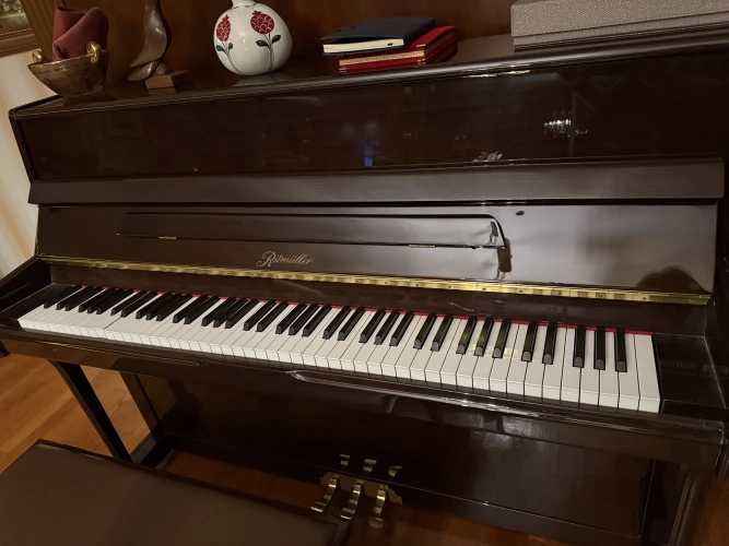 ritmüller akustik piyano 4