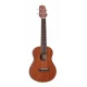 TAKAMINE GU-C1 Concert Ukulele 2