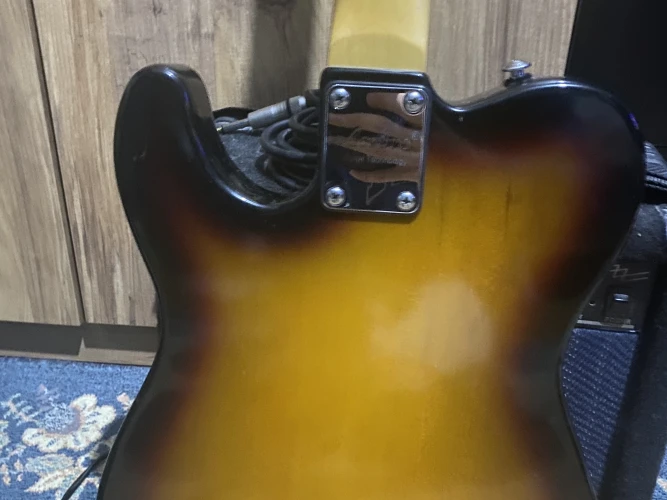 Acepro Başlangıç Gitar Seti 5