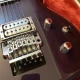 IBANEZ Joe Satriani JS2450 MCP Elektro Gitar 2