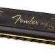 Fender Blues DeVille NotaE Mızıka 2