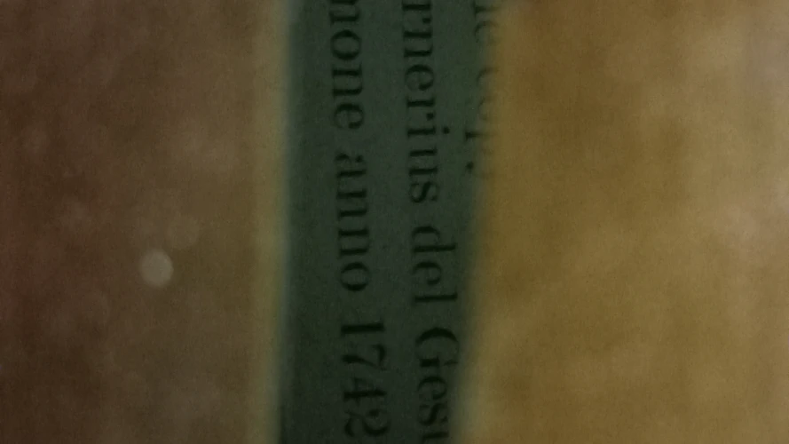 El Yapımı 20 senelik Keman 3