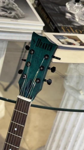 Custom Elektro Gitar 3