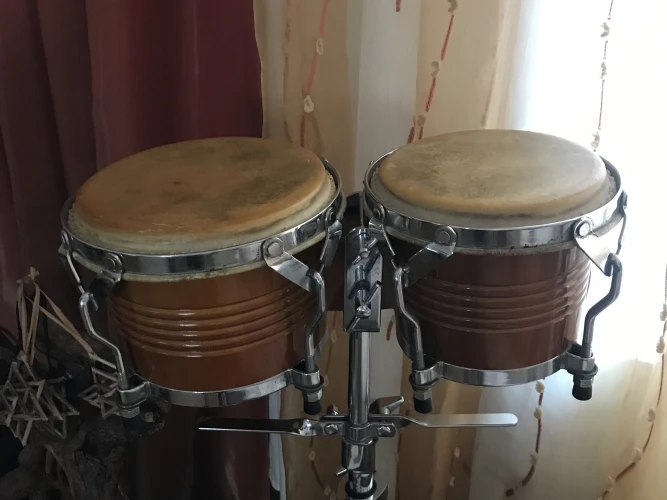 Takım Halinde Bongo 1