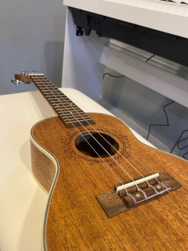 Simge Ukulele 1