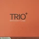 digitech trio+ trio plus band creator + looper 7