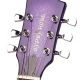 VALENCIA GRE2KCPP ELEKTRO GİTAR GYPSY ROSE SET (GIGBAG, STRAP, STICK 3