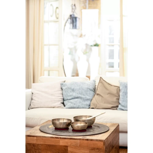 Meinl Sonic Energy SB-E-3100 Energy Therapy Singing Bowl Set 700/1000/1400G (3 Parça) 7