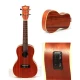 Kala Maun EQ Concert Ukulele 3