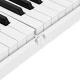 KÖHNER FX-220 Katlanabilir, Taşınabilir, Şarjlı Dijital Piyano (Dinamik Klavyeli, Tuş Hassasiyetli 88 Tuş) 6