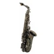 Roy Benson AS-202A Alto Saksafon 2