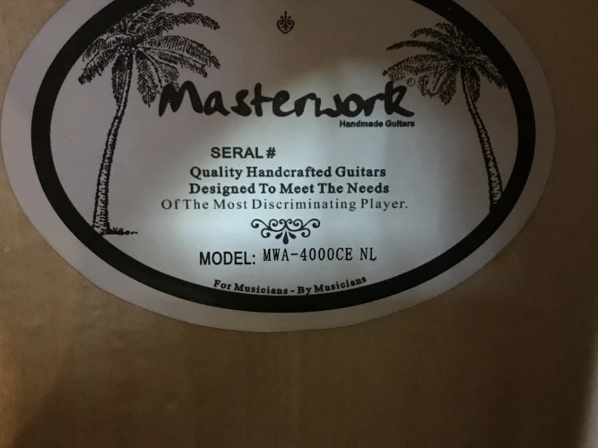 Masterwork MWA 4000 CE NL Elektro Akustik Gitar 4
