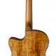 Washburn Comfort Serisi WCG66SCE  Elektro Akustik Gitar 2