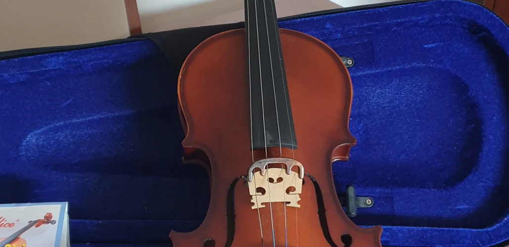 Presto luthier VV100 4 /4 Keman 1