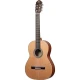 Ortega R18SSN Traditional Series Klasik Gitar (Natural) 1