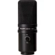 Zoom ZUM-2 USB Condencer Mikrofon 3