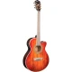 Washburn EA55G Festival Elektro Akustik Gitar 1